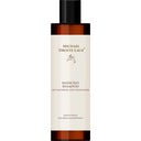 Michael Droste-Laux Alkaline Shampoo  - 200 ml