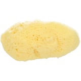 Koutouzis Natural Sea Sponges Natural Silk Sponge