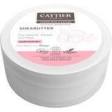 CATTIER Paris Shea Butter 100% Organic
