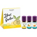 TAOASIS Baldini Citrus Garden® 3-piece Scent Set - 15 ml