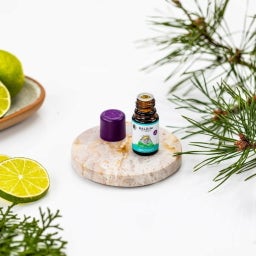 TAOASIS Baldini Bergduft® Fragrance Blend - 5 ml