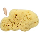 Cose della Natura Velvet Sponge