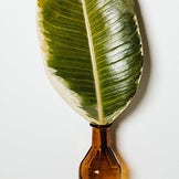 Facial Floral Water