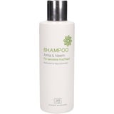 Classic Ayurveda Amla & Neem Shampoo