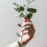 Natural Hand Care
