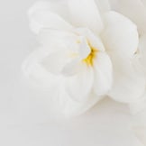Natural Care for the Intimate Area