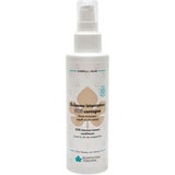 Biofficina Toscana SOS Castagna Leave-In Conditioner