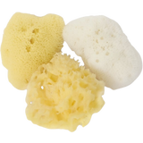 Cose della Natura Mini Beauty Trio