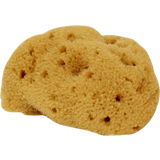Cose della Natura Washed Fine Silk Sponge