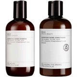 Evolve Organic Beauty Superfood Hair Duo