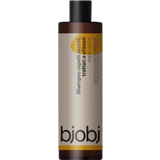 Bjobj Argan & Linseed Shampoo